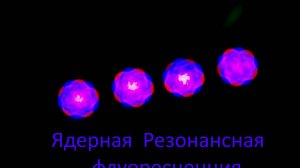 [Short Cut]  Ядерная резонансная флуоресценция   (ЯРФ)