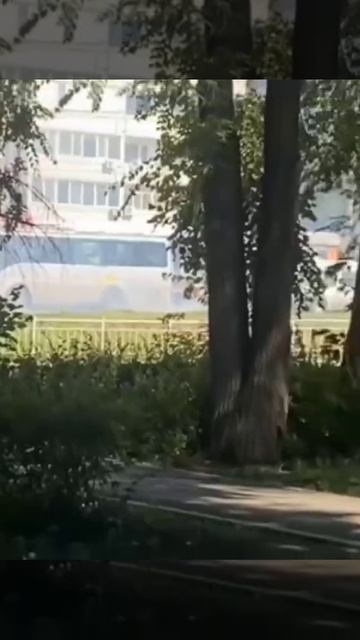 Напротив ТЦ Дарс на Рябикова задымился автобус