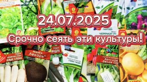 Конец июля,а я опять сею.Репа,редька,редис,капуста.