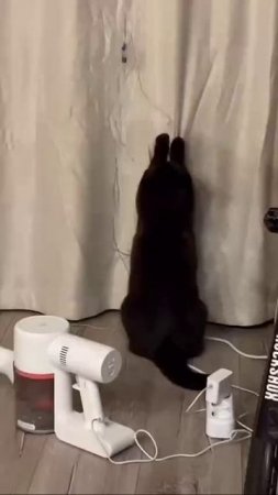 1000258020.mp4