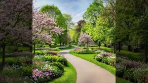 мои впечатления