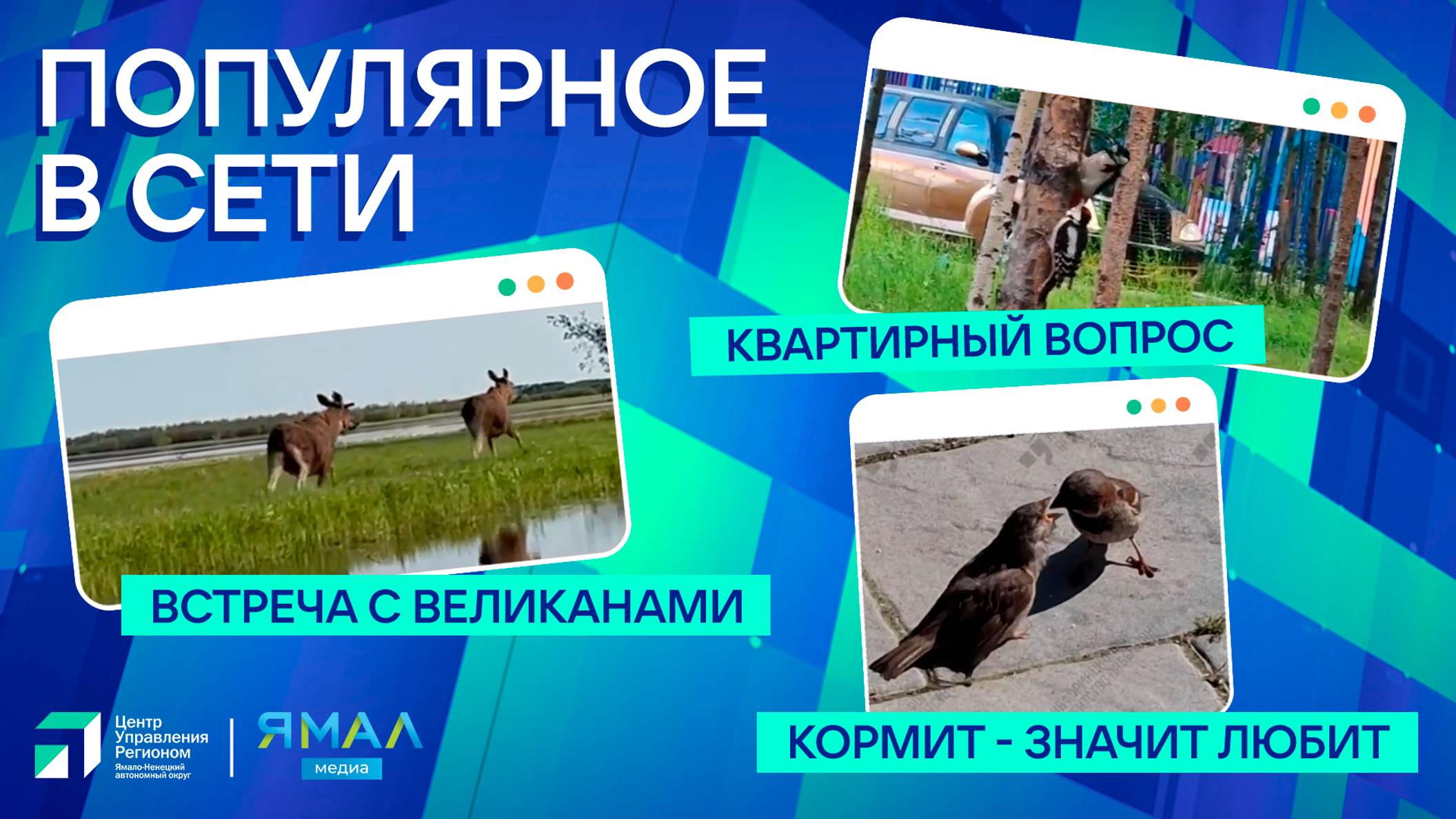 "Ямал-Медиа" продолжает обозревать популярные видео в интернете