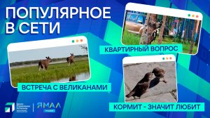 "Ямал-Медиа" продолжает обозревать популярные видео в интернете