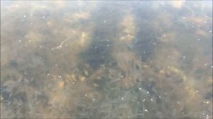 фильм про рыбалку