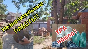 Ейск ! Преображение двора продвигается незначительными делами и работами ! 25-07-2025