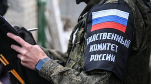 Путин поздравил сотрудников органов следствия с профессиональным праздником