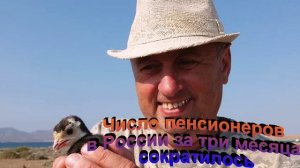 Число пенсионеров в России за три месяца сократилось