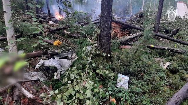 Грустные кадры крушения самолета смотреть онлайн