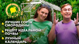Лучшие сорта смородины | Подготовка почвы для сада | Уход за лапчаткой и спиреей. Дача