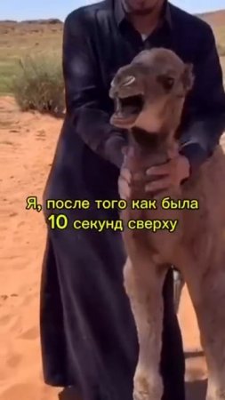 #топ #мем