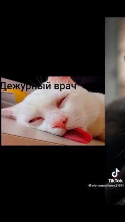 Врачи