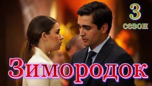 Зимородок 3 Серия  13 Обзор пересказ