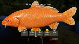 НОВАЯ ПРИБЫЛЬНАЯ ТОЧКА С КУЧЕЙ КОИ 1000+ СЕРЫ В ЧАС НА МЕДНОМ ОЗЕРЕ В РУССКОЙ РЫБАЛКЕ 4 РР4