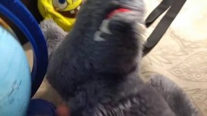 ВОЛК И СПАНЧ БОБИУС В ХАЛАБУДЕ 1 ЧАСТЬ!