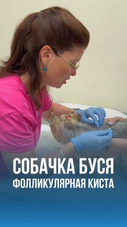 Фолликулярная киста у собаки Буси - пациент ветклиники Эпиона в ЮАО Москвы