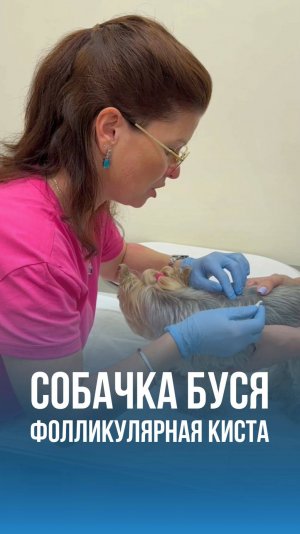 Фолликулярная киста у собаки Буси - пациент ветклиники Эпиона в ЮАО Москвы