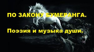 ПО  ЗАКОНУ  БУМЕРАНГА. Автор стихотворения и видео А. Соколов.