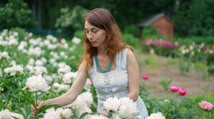 Июль (Ю.Ключарёва)