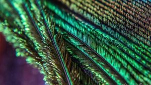 Притча Ву и ураган