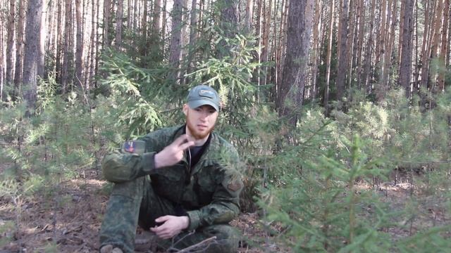 Что такое лес? Тонкие материи. НЕ ДЛЯ ВСЕХ