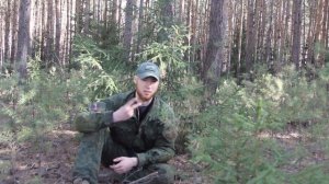 Что такое лес? Тонкие материи. НЕ ДЛЯ ВСЕХ