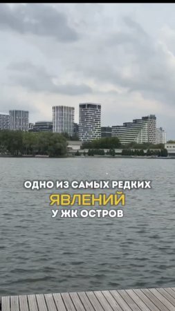 Никто не ожидал увидеть здесь это... Попадание 3 из 3-ех
