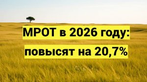 МРОТ в 2026 году: повысят на 20,7%