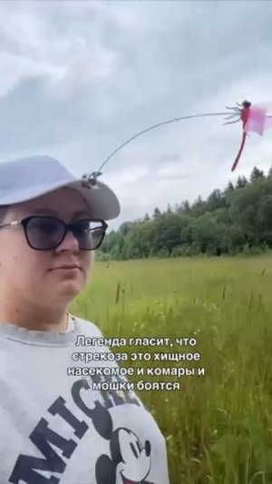 От комаров – стрекозы на прищепке