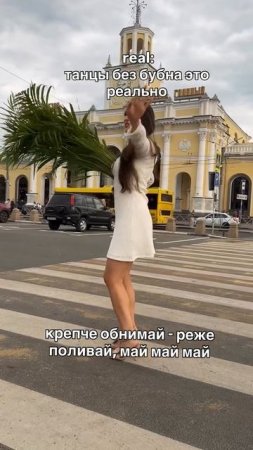 Озеленяемся🍃вместе со мной #фитодизайн #озеленение #комнатныерастения