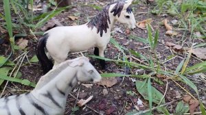 Как наши лошади проводят лето!!!!