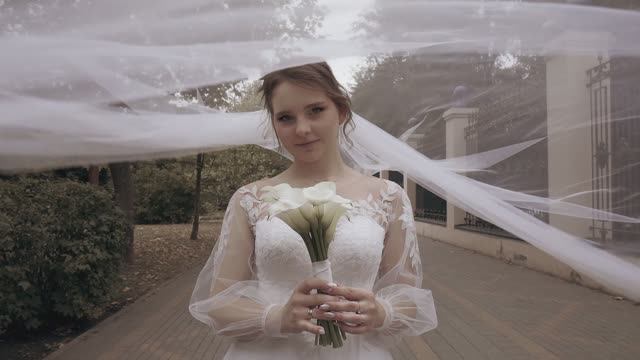 Владимир Изабелла