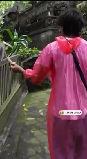 Неуважительный макак😁