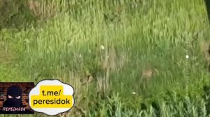 ВСУшник выпал с моста после удара нашего ФПВ-дрона