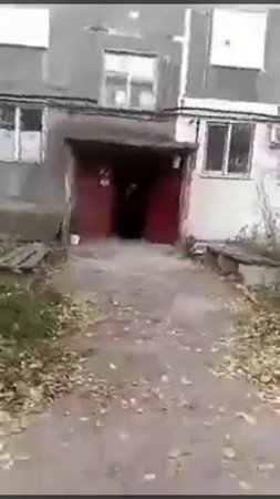 Снято для конкурса,,Мой ласковый и нежный зверь,,