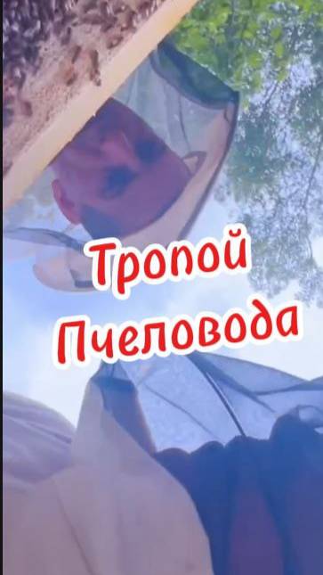ТРОПОЙ ПЧЕЛОВОДА смотреть онлайн
