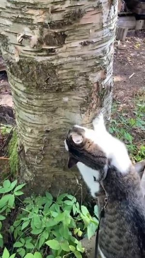 Вот как нужно грызть гранит рыболовной науки 🤣