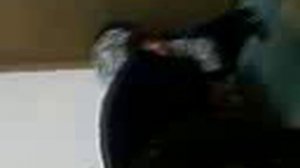 SV_A0010.mp4