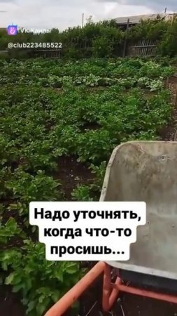 1000258035.mp4