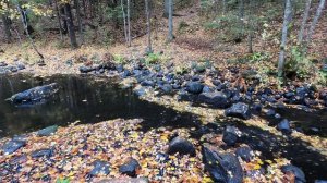 Шум дождя и осенний листопад. Умиротоврение от вида лесного ручья.