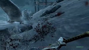 The Elder Scrolls V: Skyrim