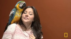 Gator-Aid (Full Episode) | Dr. K's Exotic Animal ER | Nat Geo Animals