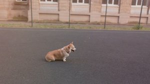 И снова Оливка