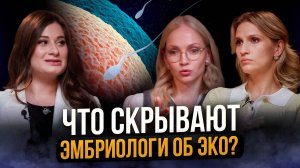 От чего зависит успех ЭКО: тайны эмбриологии