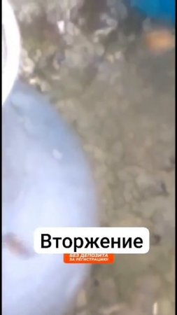 Все УМнее чем челОВЕЧЕствО:)
