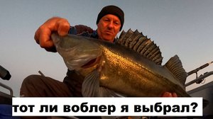 Троллинг. Правильно ли подобран воблер. Бомба Киллер.