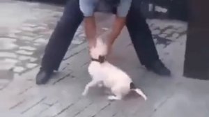 Психотравмы бывают разные...