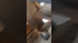VID_20250725_185322.mp4