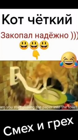 Смешные Shorts