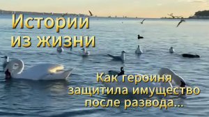 Истории о любви о разводе. Как героиня защитила имущество после развода... Рассказы