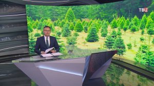 Мишустин отчитался о восстановлении восьми миллионов гектаров леса / События на ТВЦ